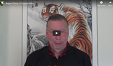 bagua video